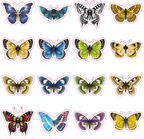 Butterfly tattoos – 100 pcs