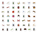 Klistermärken på rulle med insekter – 200 st