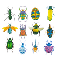 Glitter beetle sticker 80pcs